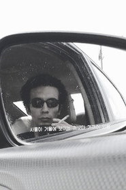 Mahmoud Lotfy