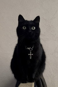Jonsi