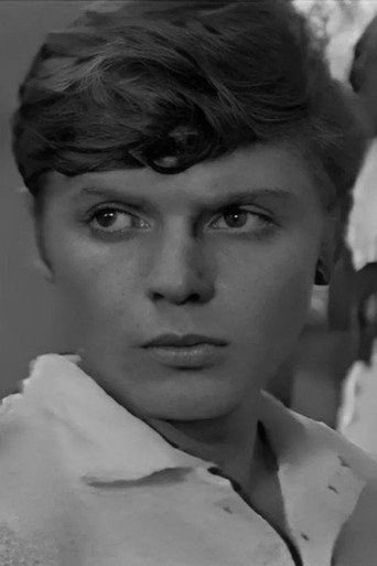 Сергей Тимофеев