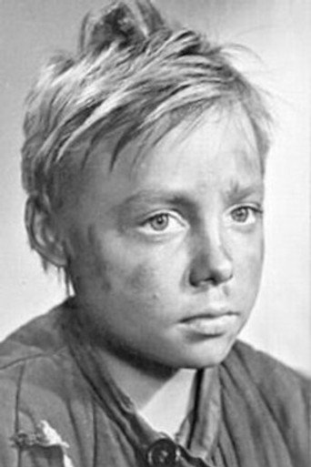 Н. Чурсин