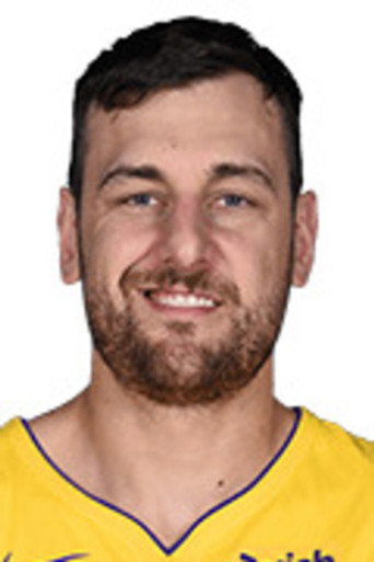 Andrew Bogut