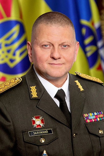 Валерий Залужный